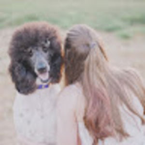 Meet your Posher, Olive